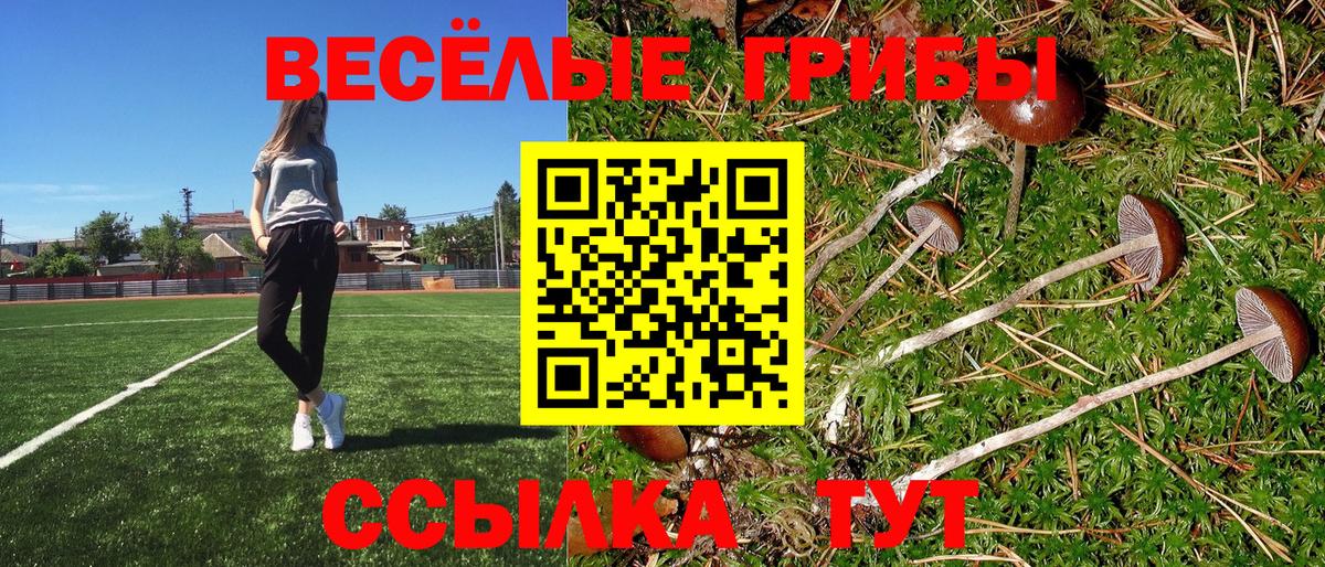 Галлюциногенные грибы Psilocybe  Вход с VPN  Карабулак 