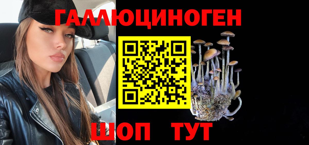 Галлюциногенные грибы ЛСД Карабулак