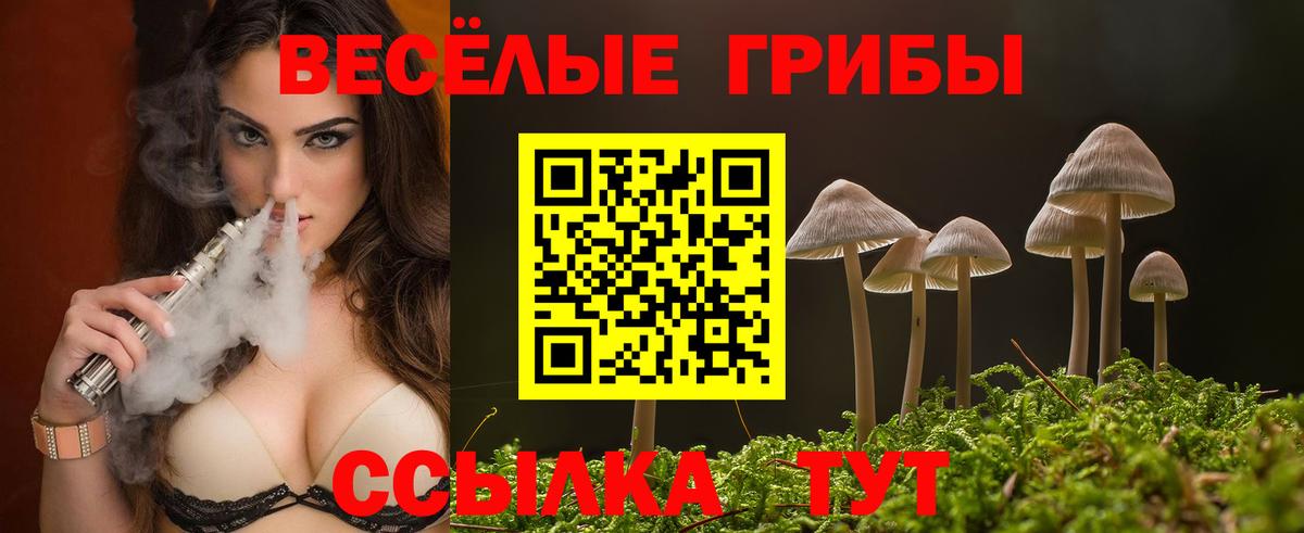 ГАШ  Канабис  Альфа ПВП СК кристаллы  COCAIN  Карабулак  MDMA  Меф МЯУ МЯУ   Вход с VPN  ЭКСТАЗИ 