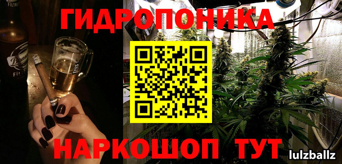 Канабис MAZAR  Канабис семена  Каннабис Bruce Banner  Карабулак  Марихуана марихуана  Вход с VPN 